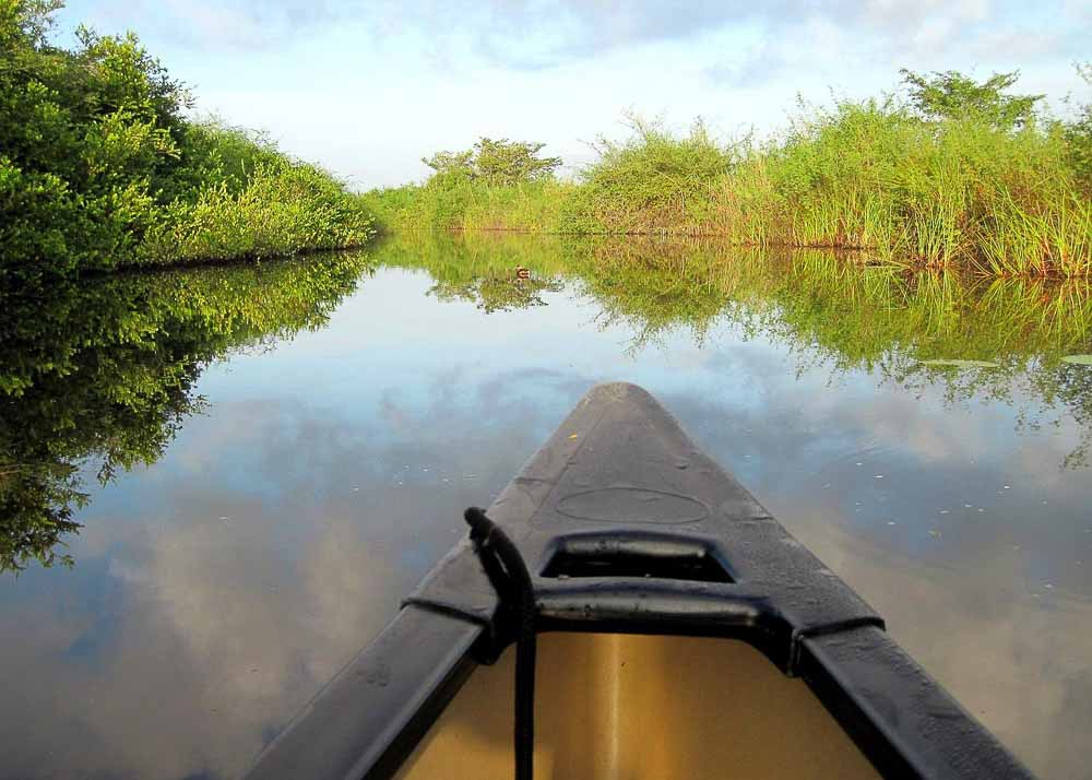 Illinois River Floating in Oklahoma The Ultimate Guide