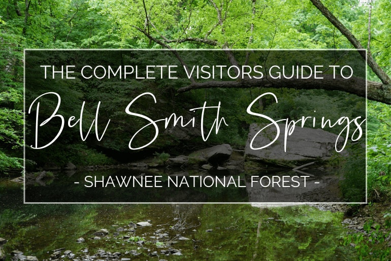 Bell Smith Springs Featured Image