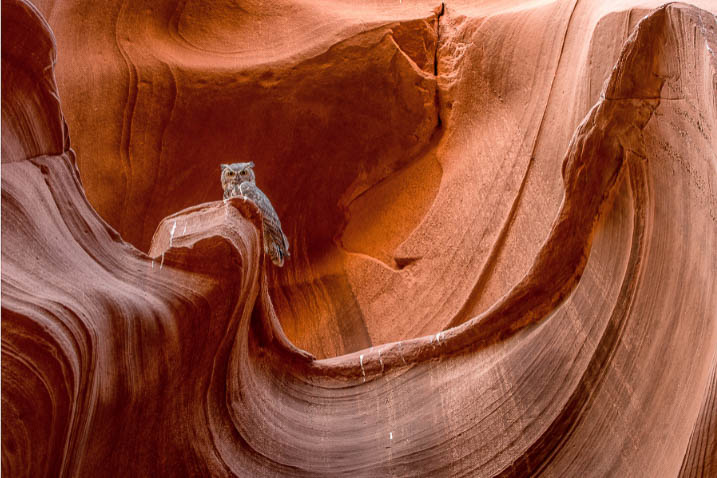 hiking slot canyon page az owl canyon