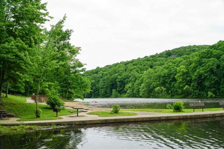 Pounds Lake Shawnee National Forest