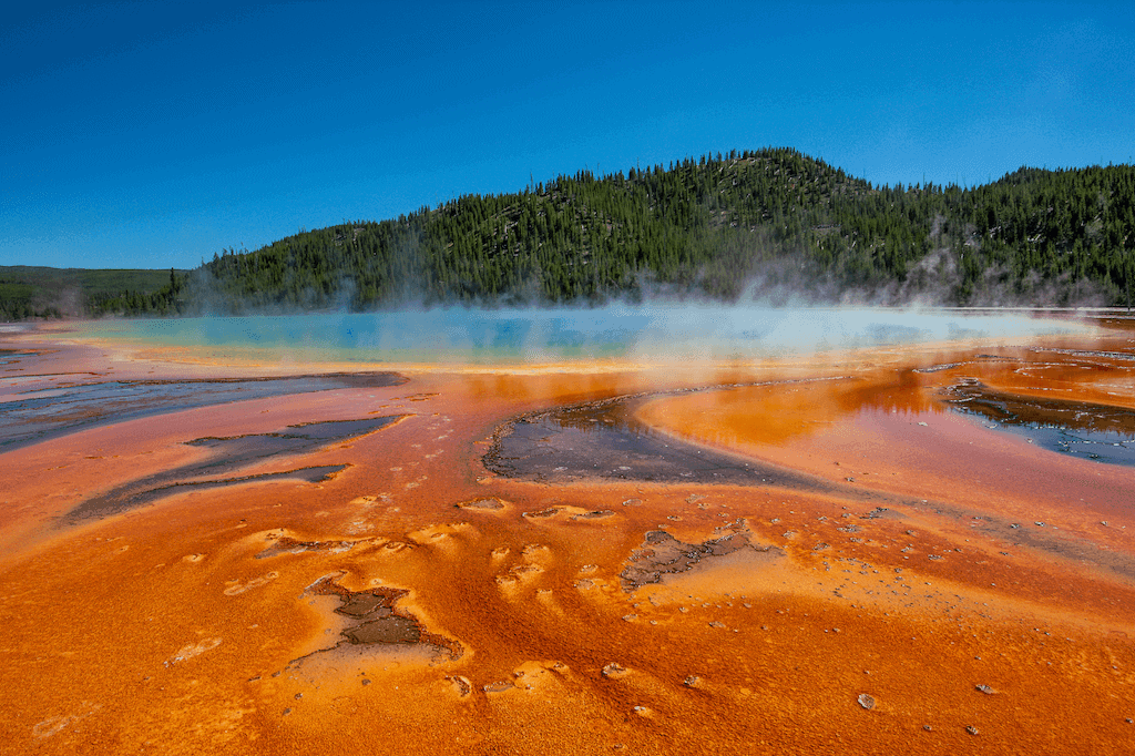 Is a Guided Tour of Yellowstone Worth It?