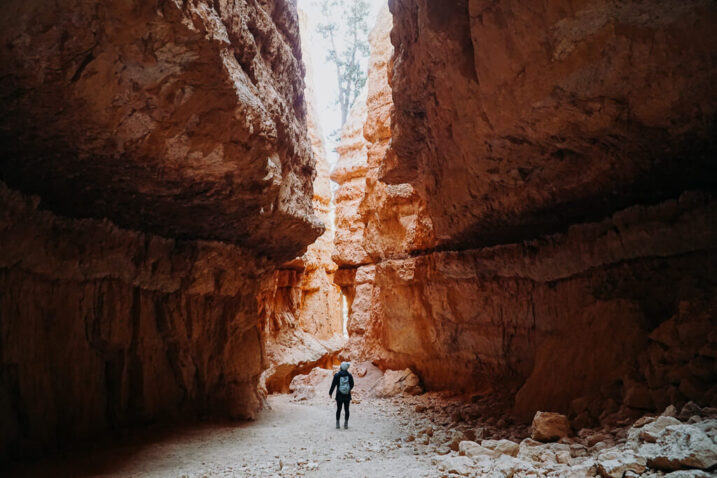 person standing in a large canyon inside Bryce canyon national park
