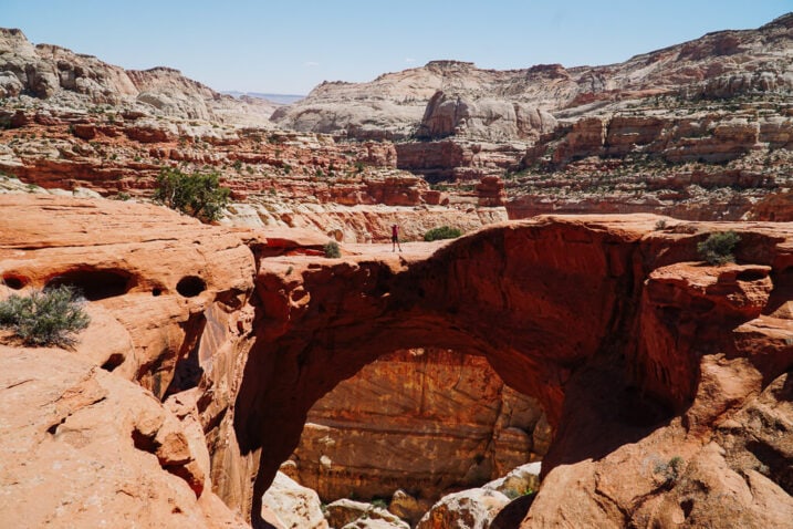 person standing on top of the huge cassidy arch inside capital reef national park