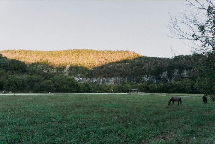 the field with a horse at  steelcreek buffalo river campground arkansas