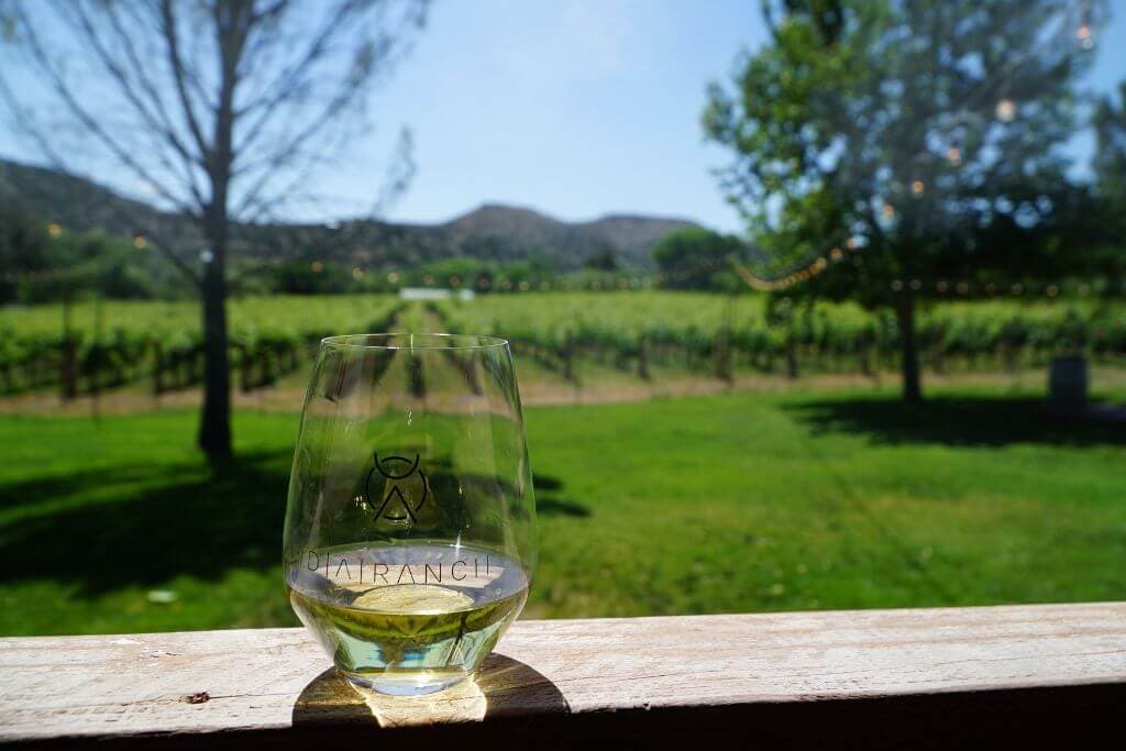 a wine glass on a railing with trees and a winery vineyard behind it 
