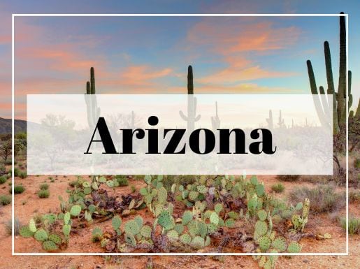 Arizona Destination Tile