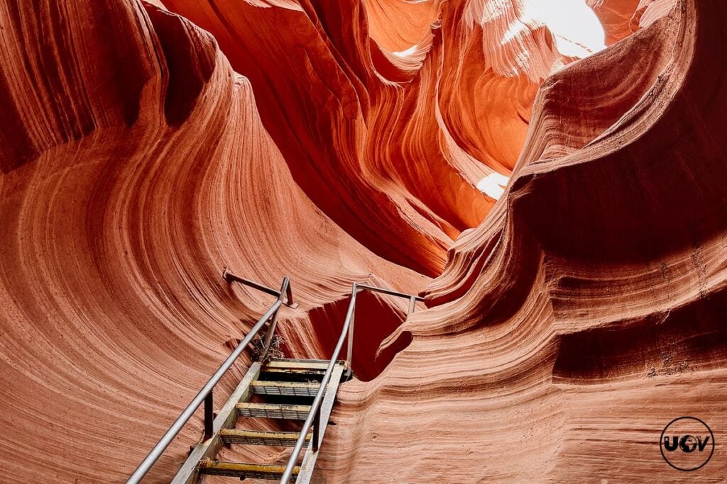 A metal ladder wedged between narrow, red sandstone walls within Antelope Canyon, suggesting a path to explore further.