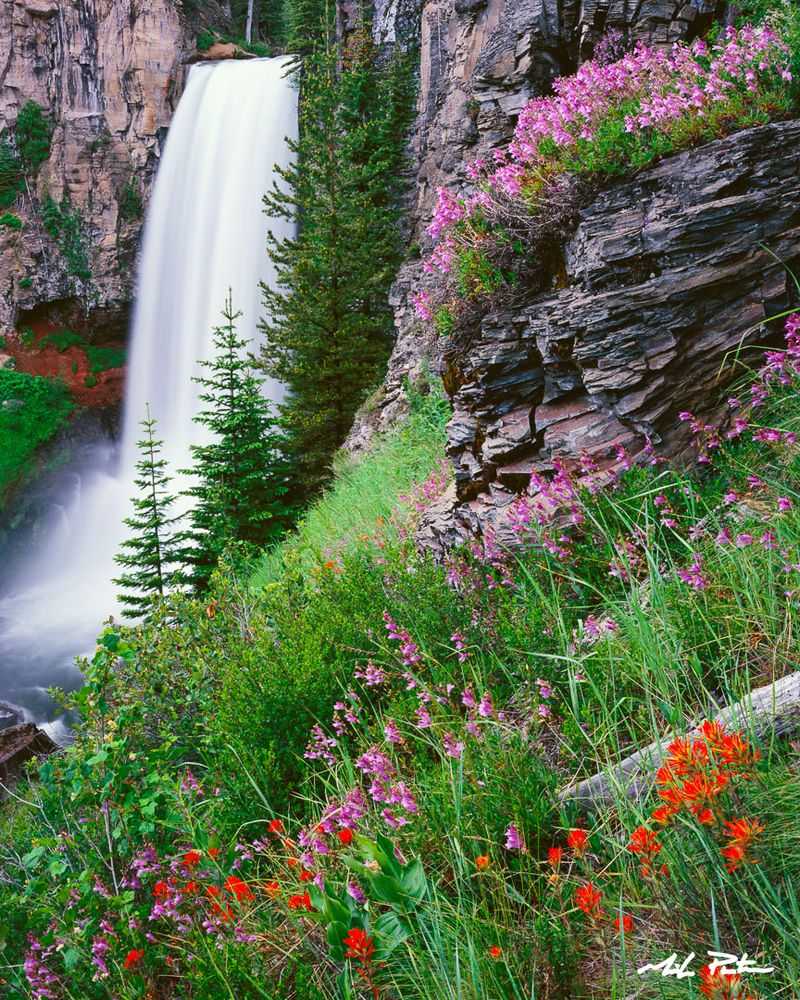Tumalo Falls: A 97-Foot Cascade Worth the Hike