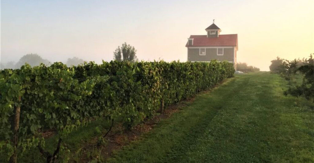 5 Hudson Valley Wineries No One Talks About