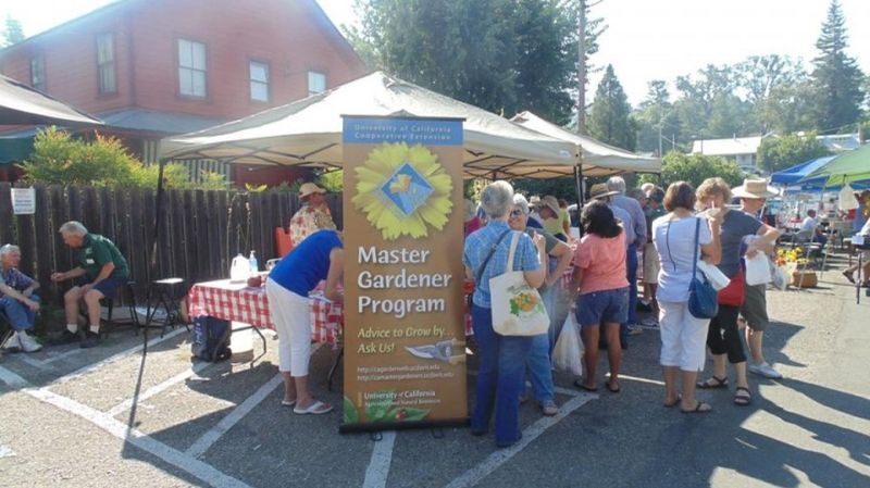 Small-Town Events With Big Heart