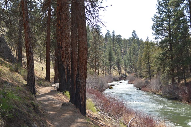 The Deschutes River Trail