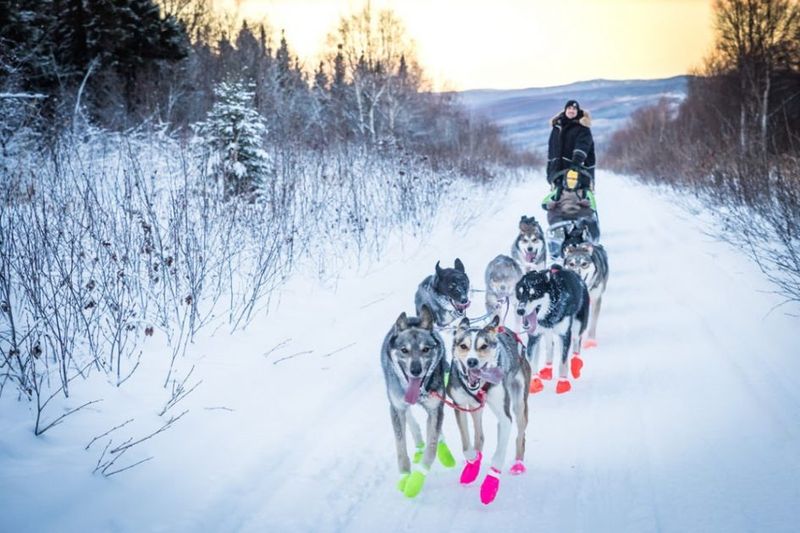 A Town Steeped in Sledding Legacy