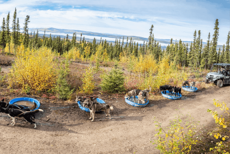 Winter Tours & Summer Training