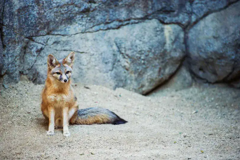 It’s a Wildlife Hotspot