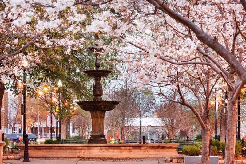 Join Georgia's Surprise Tourism Destination