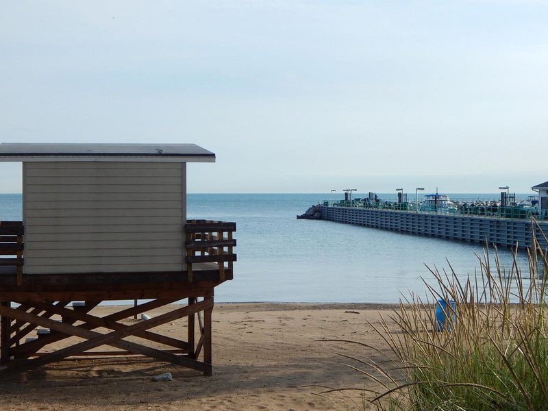 Birdwatch at the Lakefront Park & Bird Sanctuary