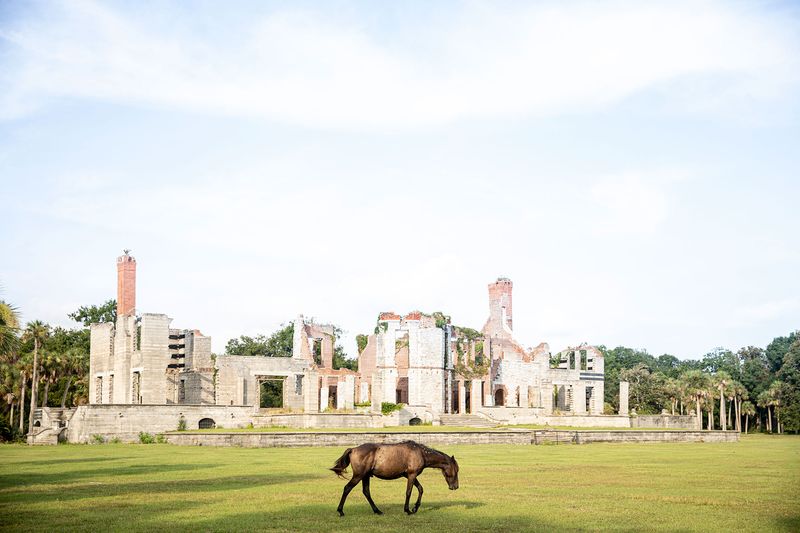 Cumberland Island, Georgia