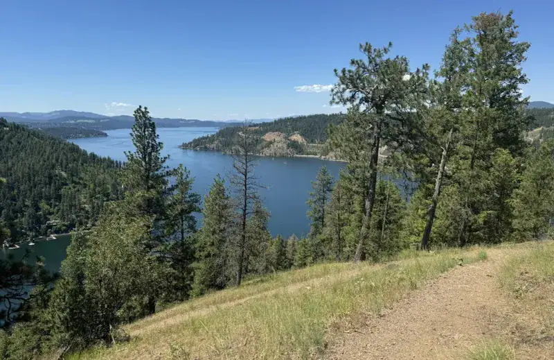 Mineral Ridge: short climb, big views (and winter eagles)