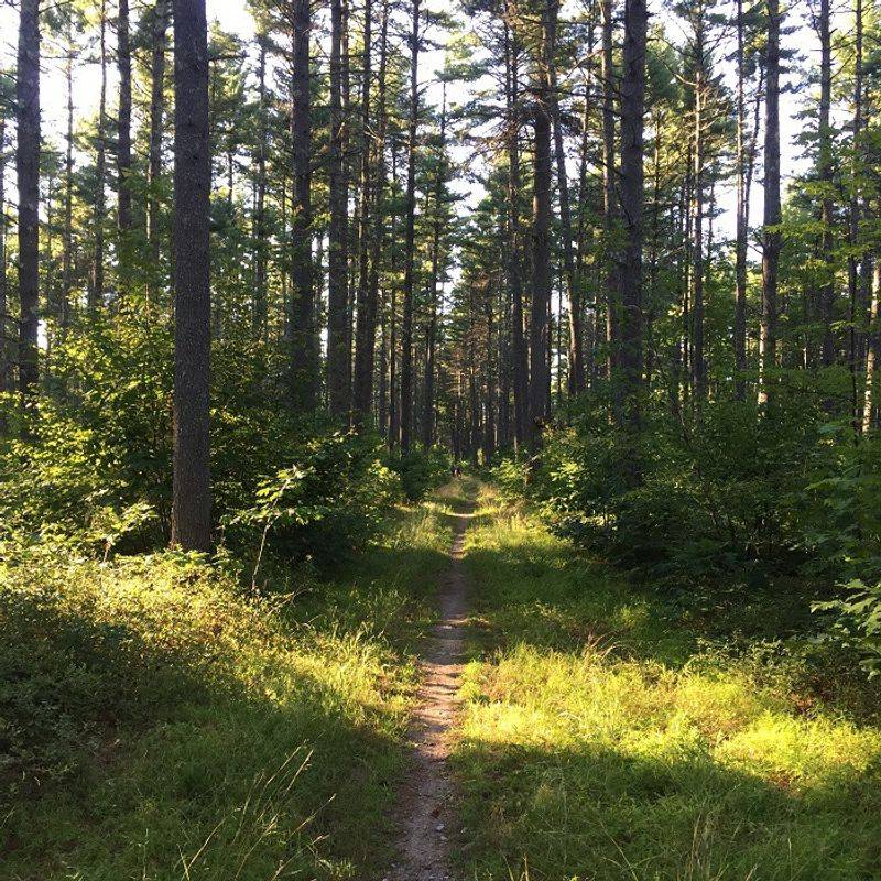 Explore 130 miles of local trails