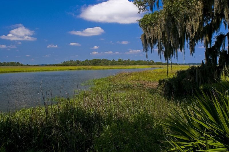 Conservation Legacy Protects the Future