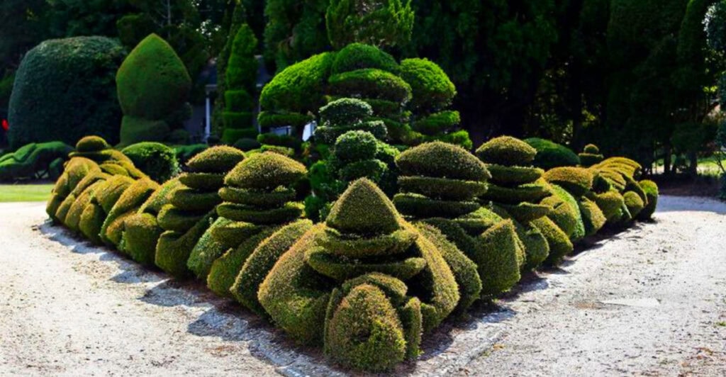 Bishopville’s Wildest Attraction is Mind-Bending Topiary Garden You Won’t Believe Is Real