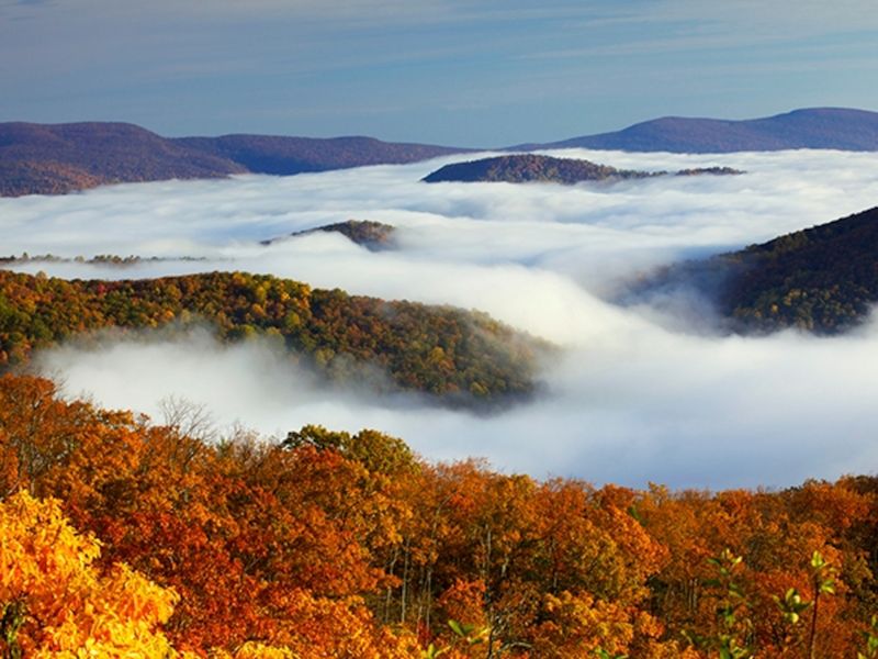 Skyline Drive (Shenandoah National Park, VA)