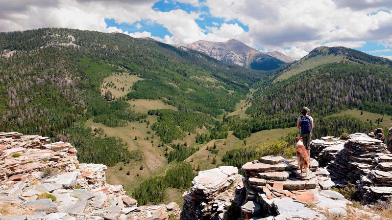 Prepare for Digital Detox Reality