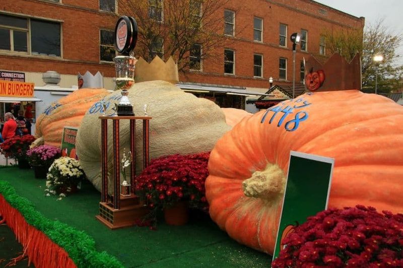 Circleville Pumpkin Show – Ohio, USA