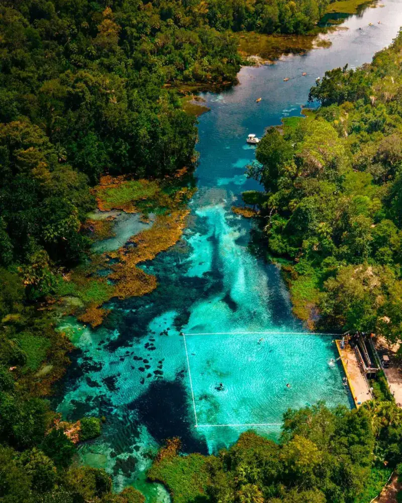 Suwannee River Access: Where Springs Meet the Legendary Waterway