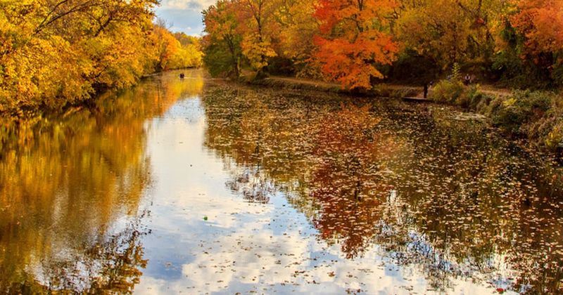 Outdoor Recreation in Crisp Autumn Air