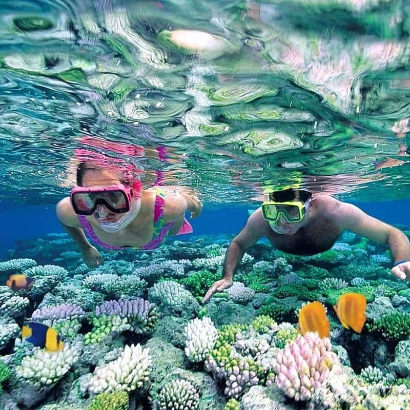 Snorkeling Paradise: Shore Access Saves Big Money