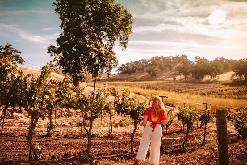 Paso Robles - The Award-Winning Powerhouse