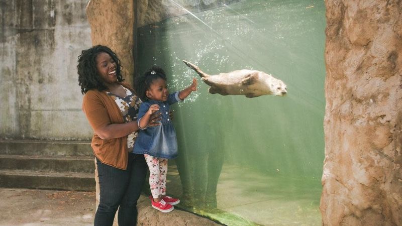 Virginia Living Museum (Newport News)