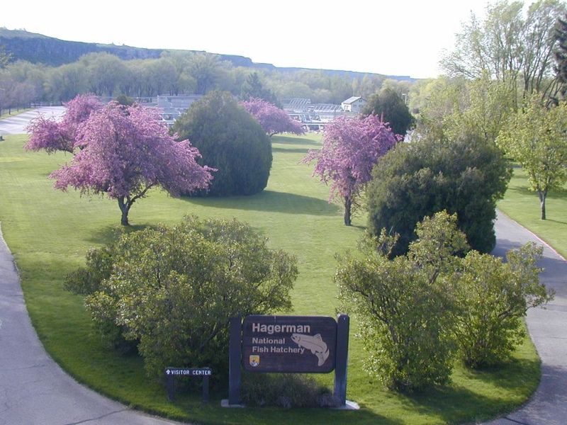 Hagerman National Fish Hatchery
