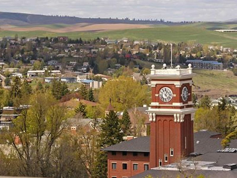Explore Pullman's College Town Energy and Local Treasures
