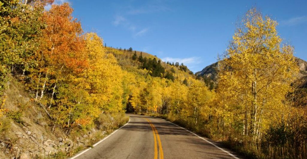 Colorado, Independence Pass is between Aspen and Twin Lakes: The town with golden aspen tunnels in fall