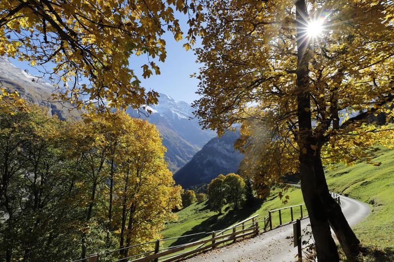 Fall Foliage? It's Breathtaking