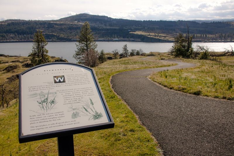 A mellow trail for canyon views