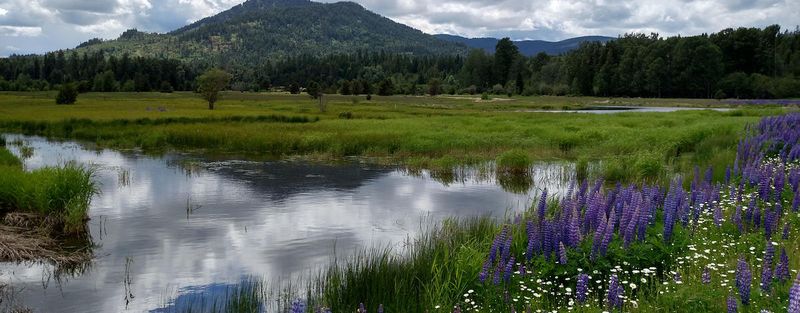 Explore the Wildlife Haven at Pend Oreille