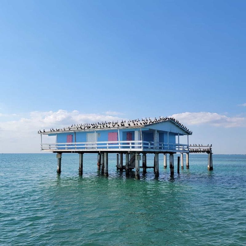 Visit Miami's Quirky Stilt House Community
