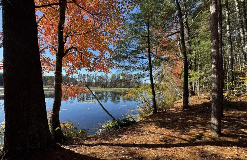Experience seasonal changes on the trail network