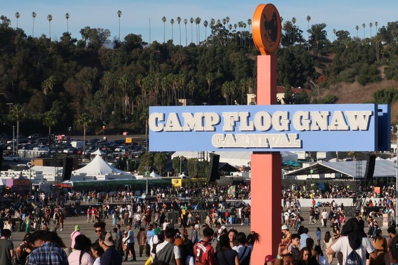 Camp Flog Gnaw Carnival - Tyler's Creative Playground
