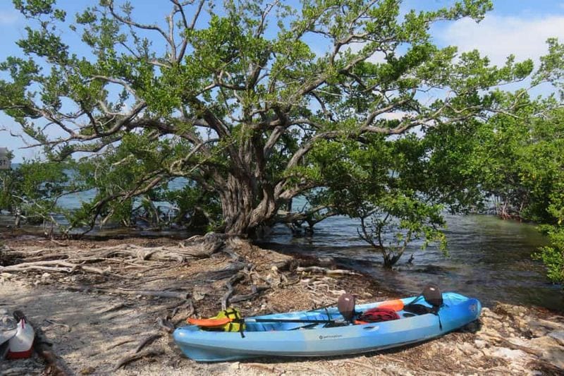 A three-hour micro-adventure