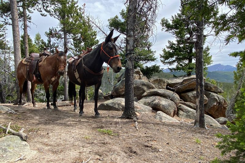Trail etiquette that matters here