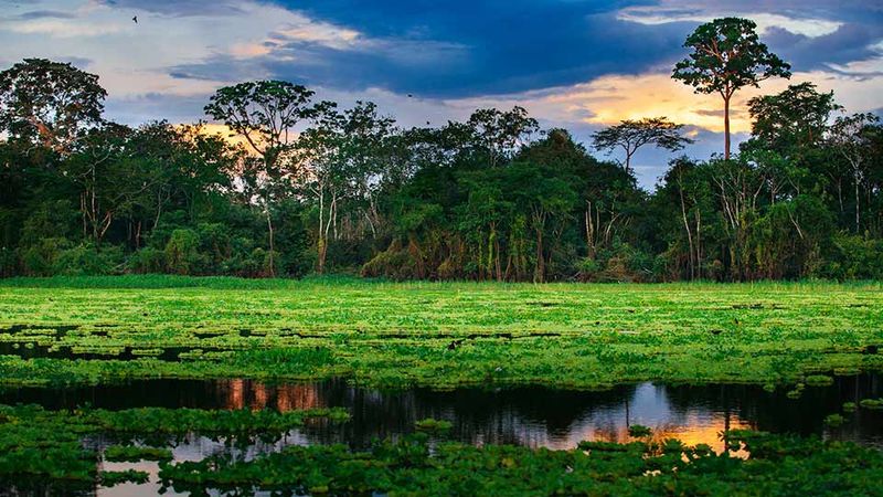 Vibrant Landscapes After Rainy Season