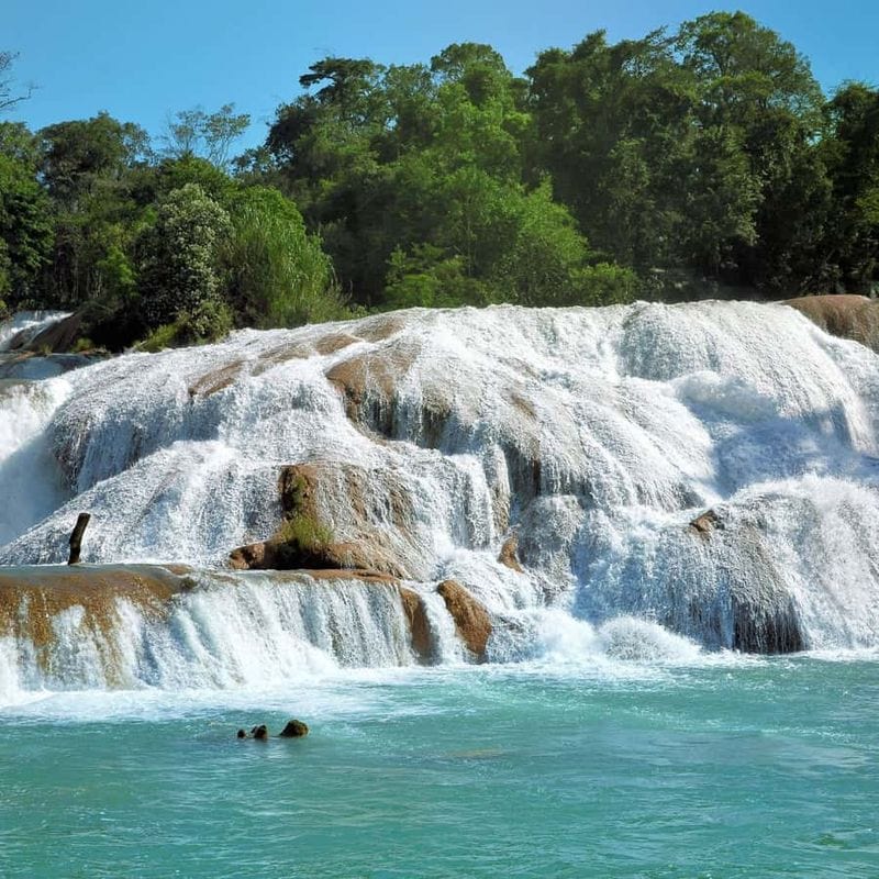 Use It as Your Gateway to Natural Wonders