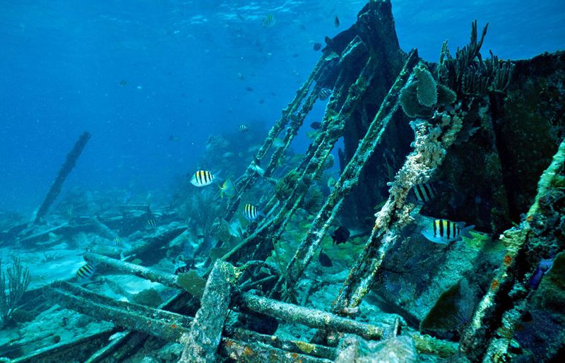 Discover Underwater Shipwrecks and History