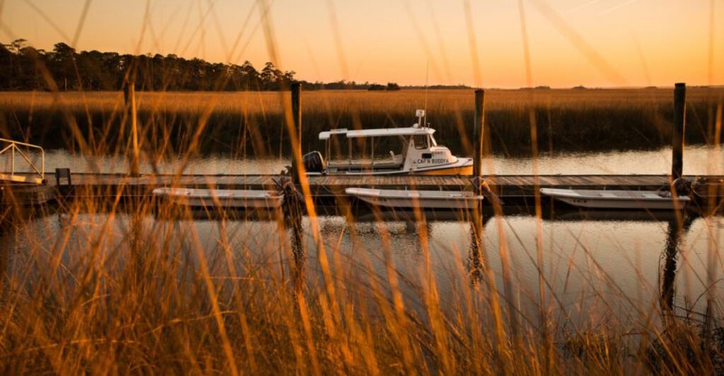 Georgia’s Little Island With Big Nature Could Be Your Next Great Escape