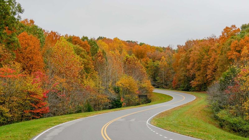 Natchez Trace Parkway (MS–AL–TN)