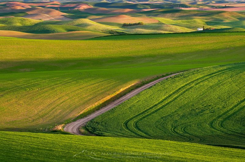 Drive the Famous Rolling Hills That Look Like Ocean Waves
